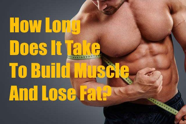 How Long Does It Take To Build Muscle And Lose Fat
