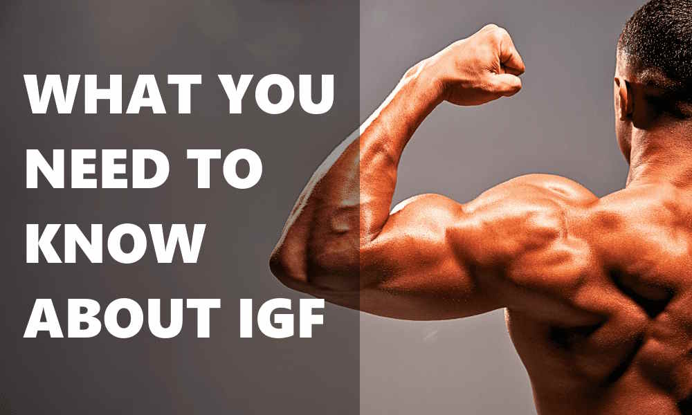 WHAT YOU NEED TO KNOW ABOUT IGF