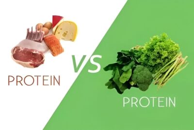 The Benefits of Vegan Protein Over Animal Protein
