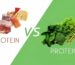 The Benefits of Vegan Protein Over Animal Protein