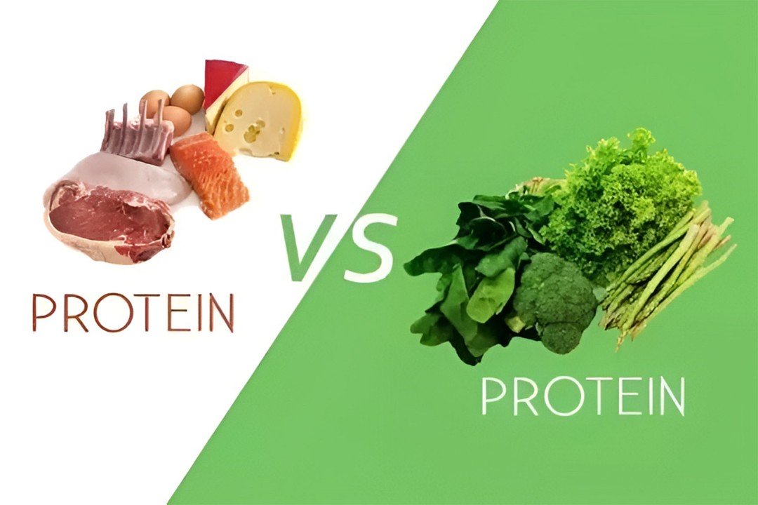 The Benefits of Vegan Protein Over Animal Protein